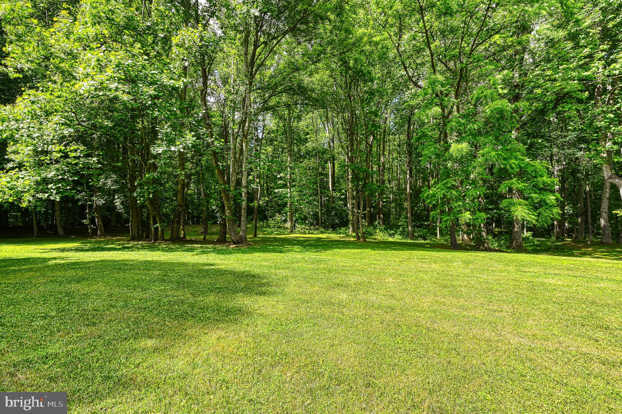 22282 Monrovia Road Orange, VA 22960 - Photo 56 of 60 Backyard