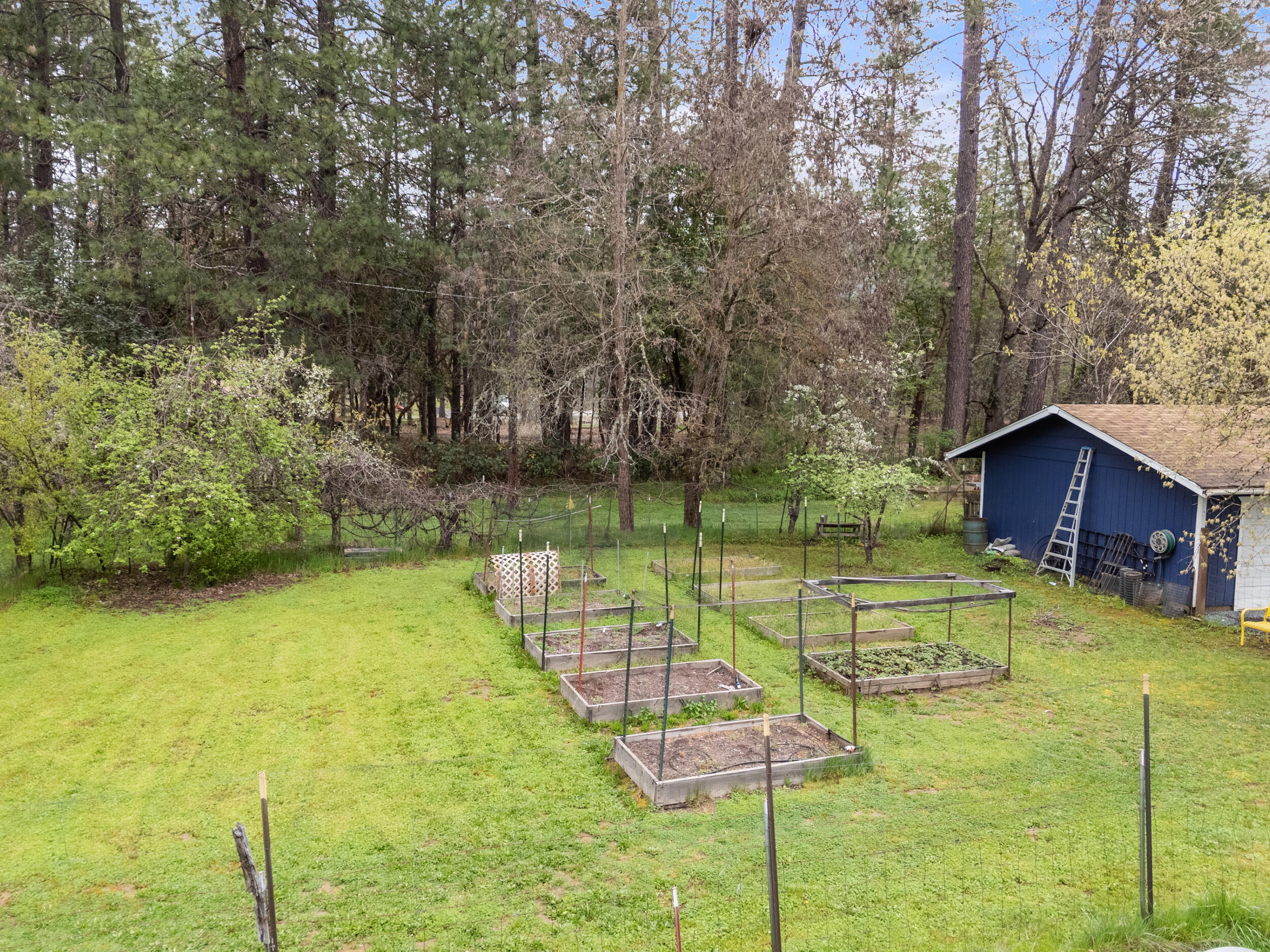 315 Queens Branch Road Rogue River, OR 97537 - Photo 35 of 42 Garden Area
