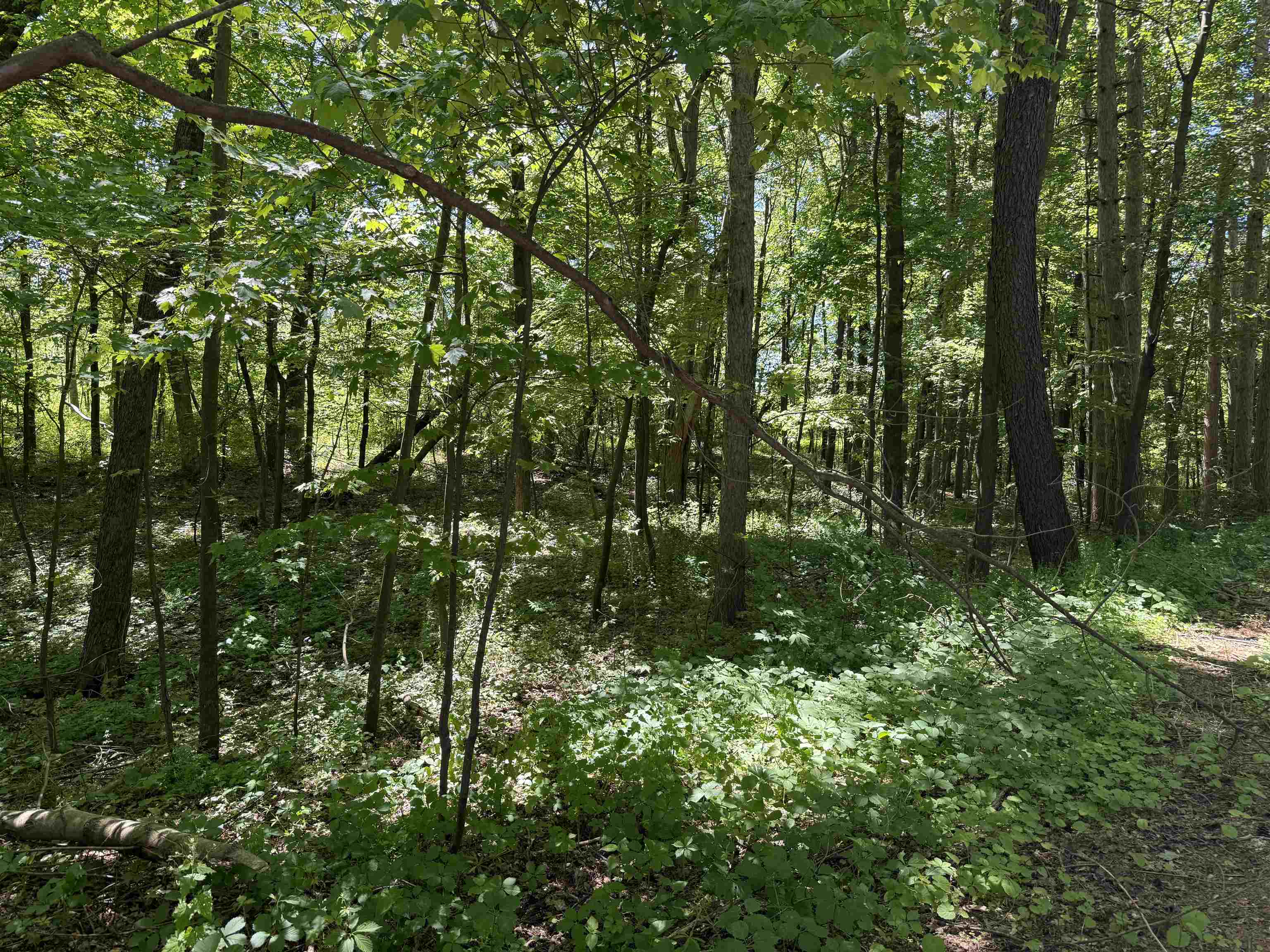 Lot 16 Arrowhead Road Amherst Junction, WI 54407 - Photo 13 of 17