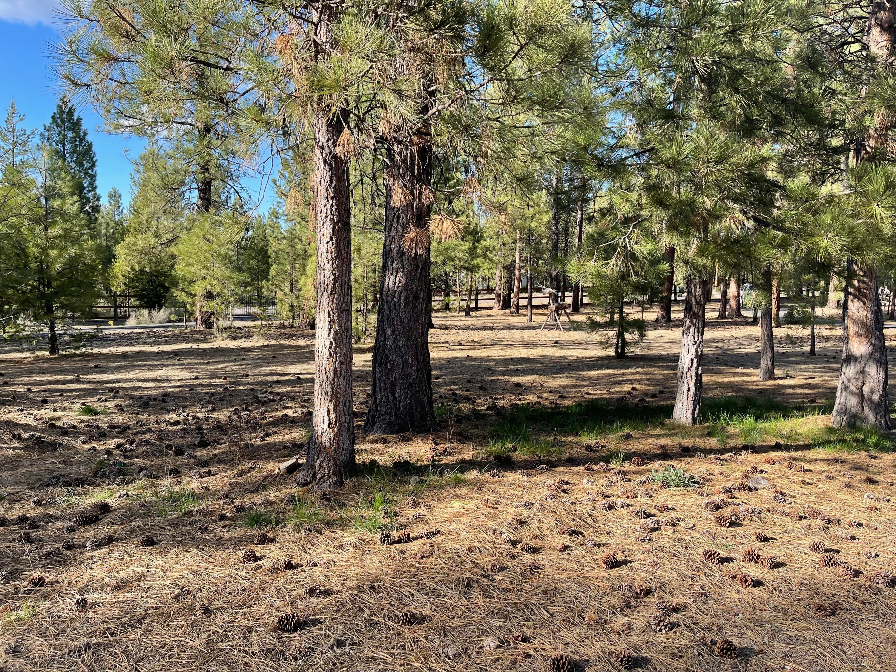 15647 Cornell Road La Pine, OR 97739 - Photo 10 of 40 Photo May 15, 5 56 31 PM