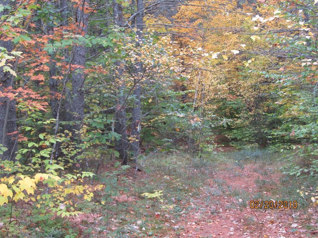 0 Sanborn Farms Road Fryeburg, ME 04037 - Photo 2 of 7 Photo