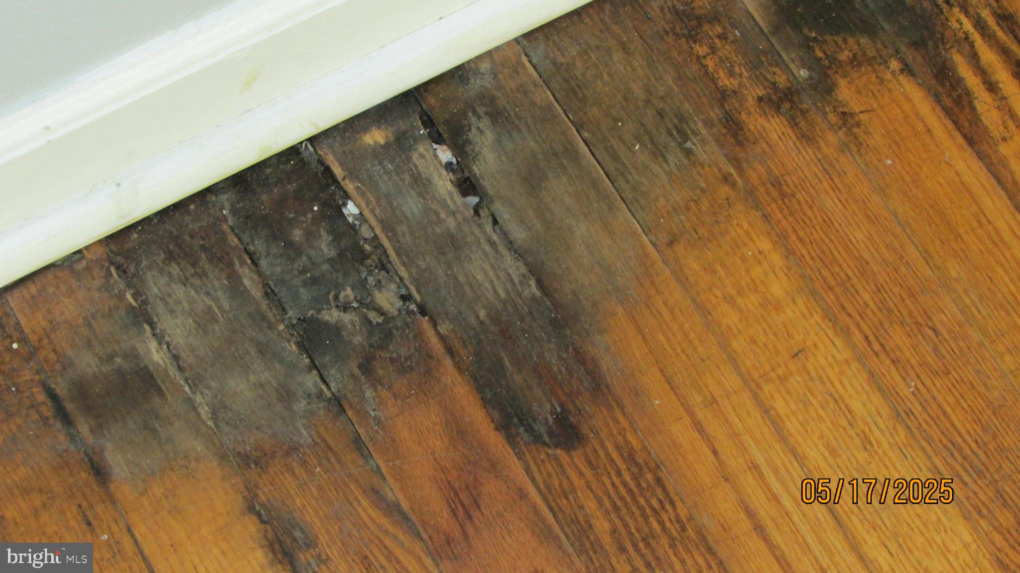 5901 Taylor Road Riverdale, MD 20737 - Photo 6 of 24 a view of entryway