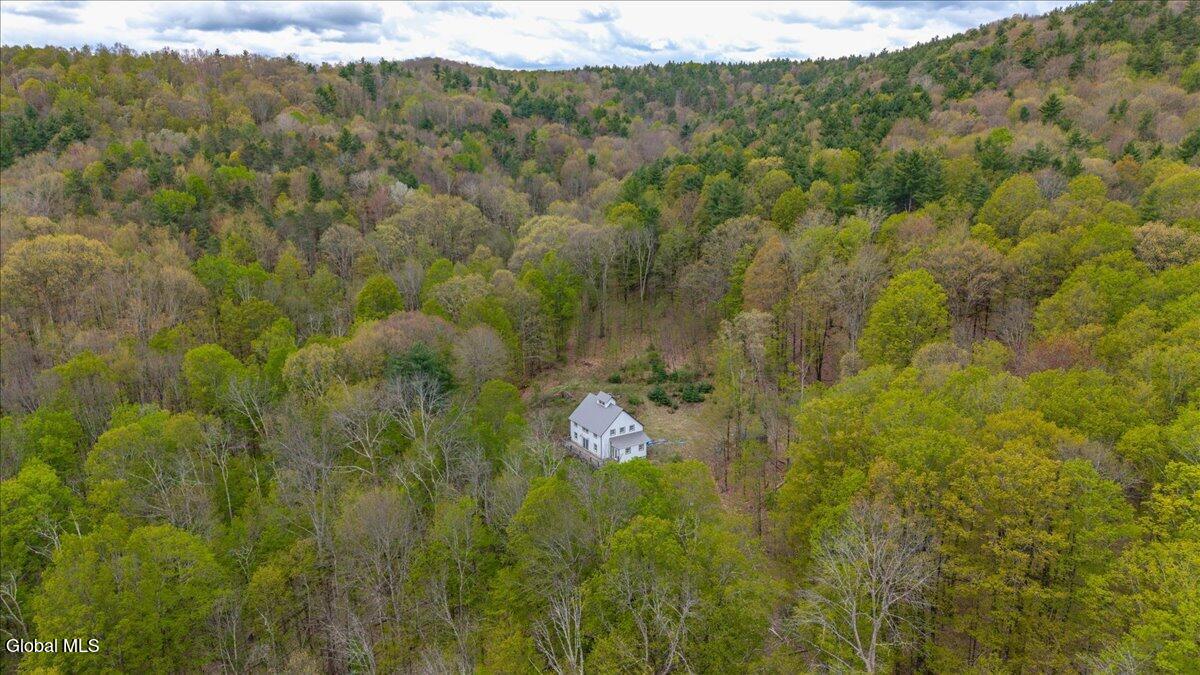 235 Colfax Road Jackson, NY 12816 - Photo 3 of 53 52-235 Colfax Rd-9