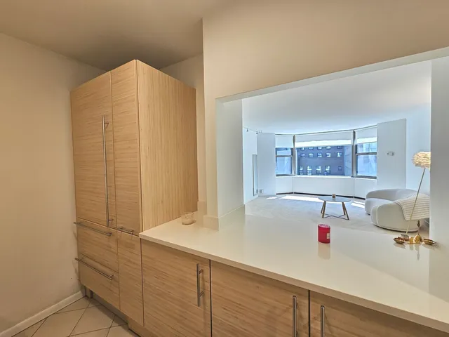 $2,500 | 535 North Michigan Avenue, Unit 1705, Chicago, IL 60611
