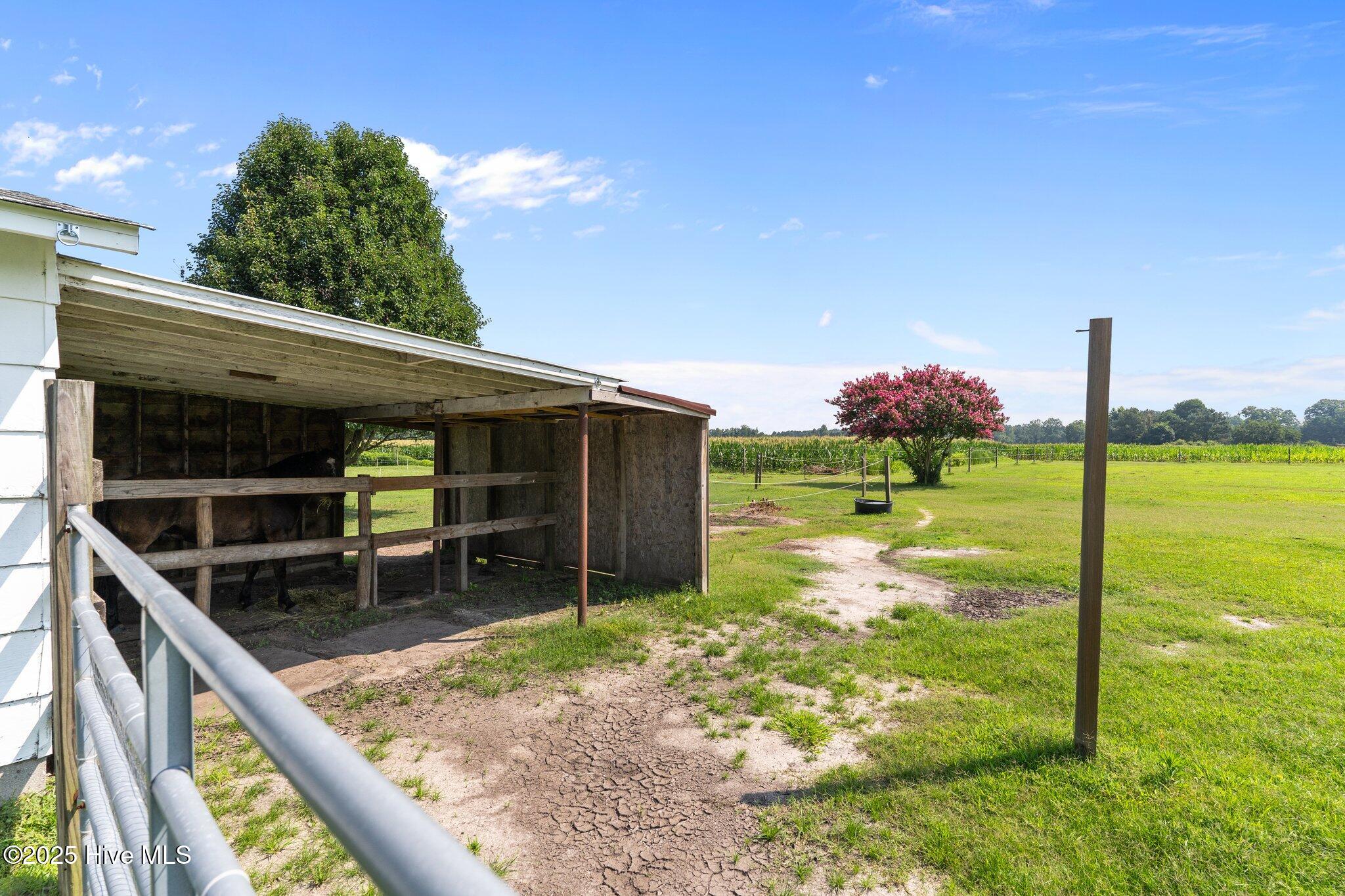 8880 Willard Road Willard, NC 28478 - Photo 36 of 66 13-web-or-mls-BTS00158
