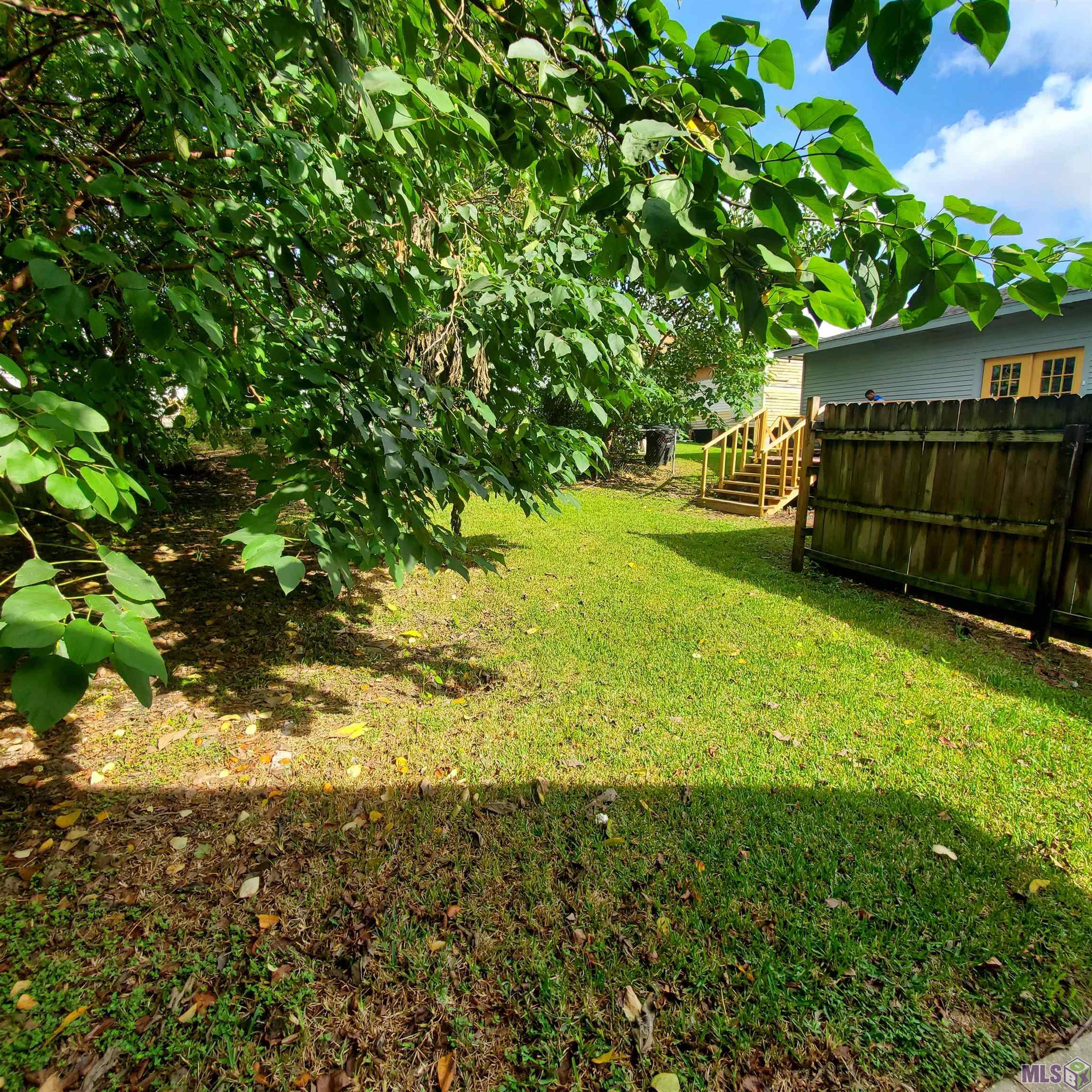 830 East Boulevard Baton Rouge, LA 70802 - Photo 35 of 37 Back Yard