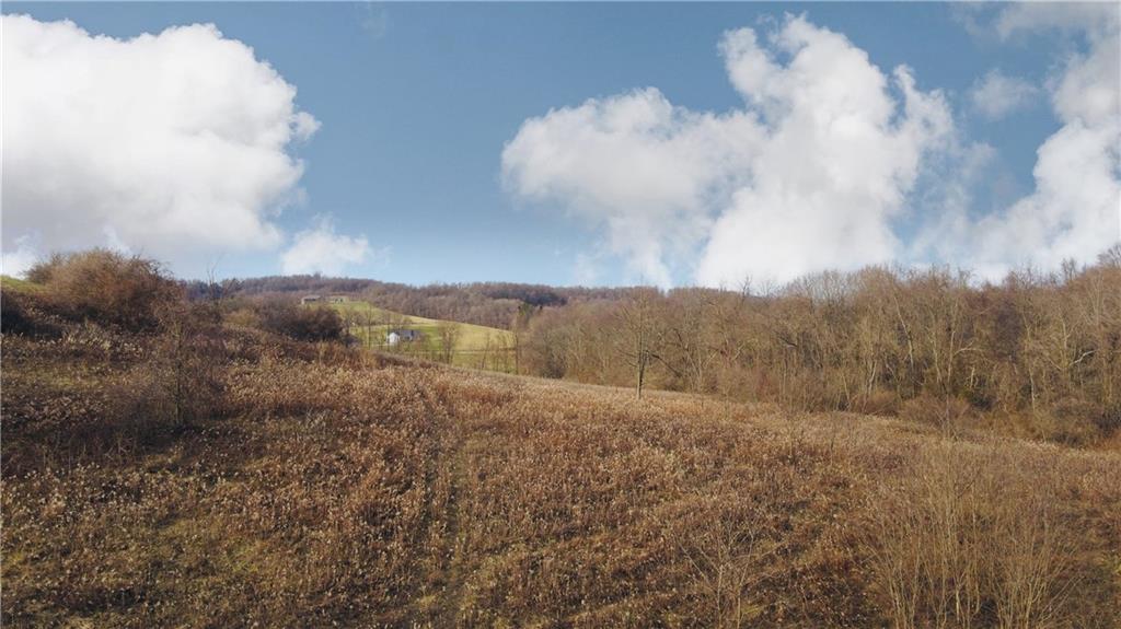 0 Jess King Road Grindstone, PA 15442 - Photo 1 of 6