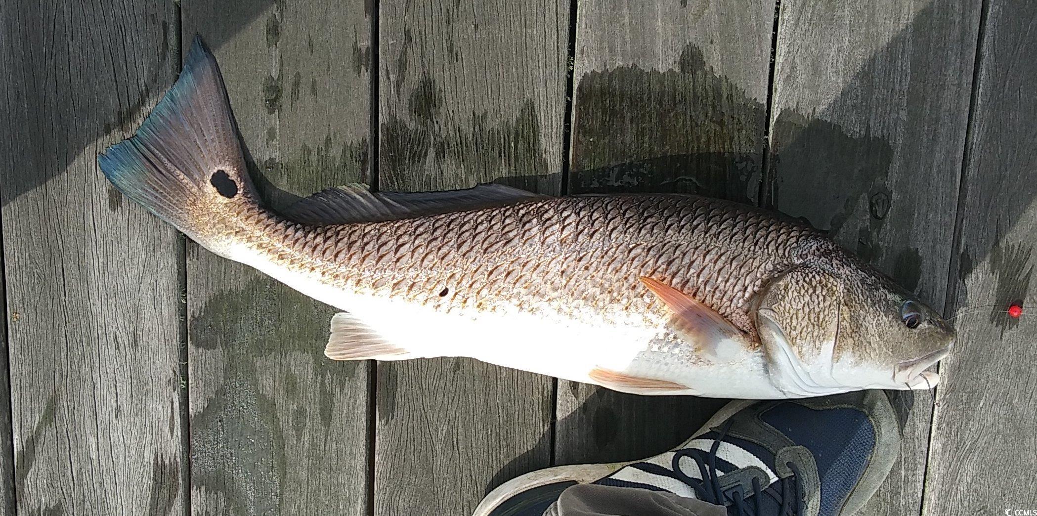 19 Friendfield Marina Georgetown Sc 29440 Georgetown, SC 29440 - Photo 15 of 17