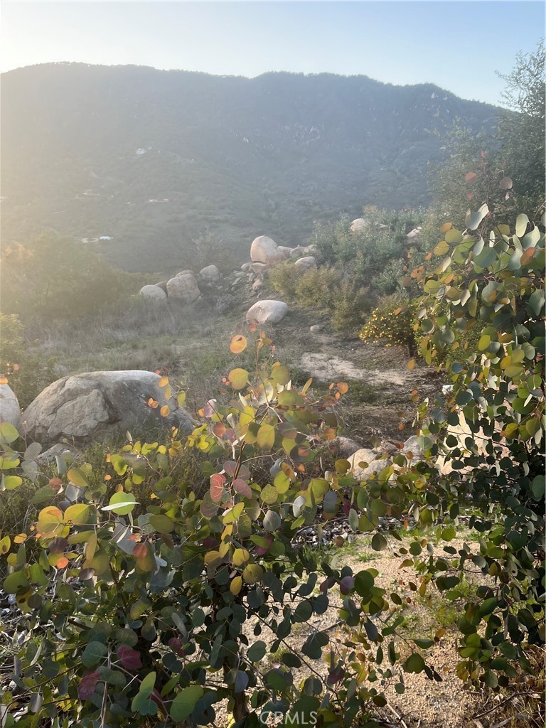 44810 La Mancha Road Temecula, CA 92590 - Photo 8 of 10