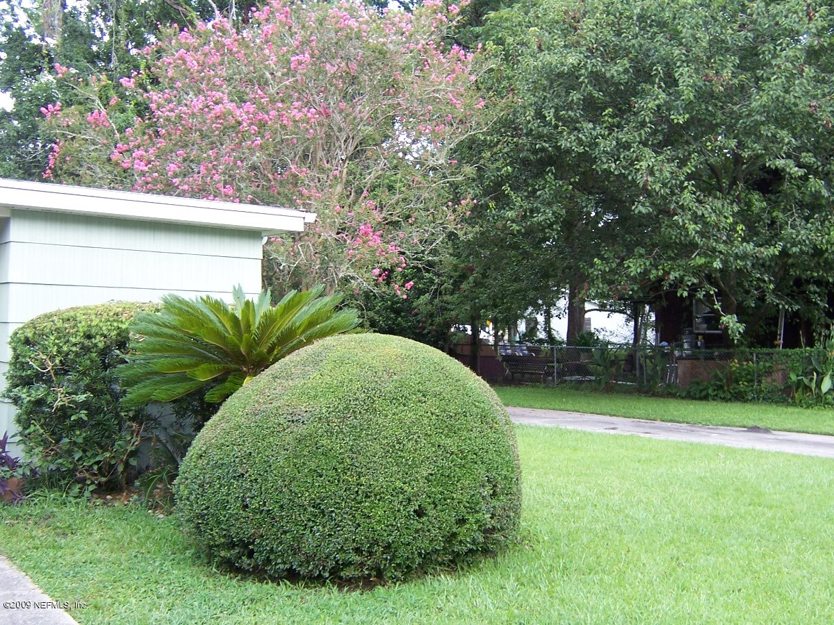 4234 Spring Park Road Jacksonville, FL 32207 - Photo 4 of 20 a view of a garden with a tree