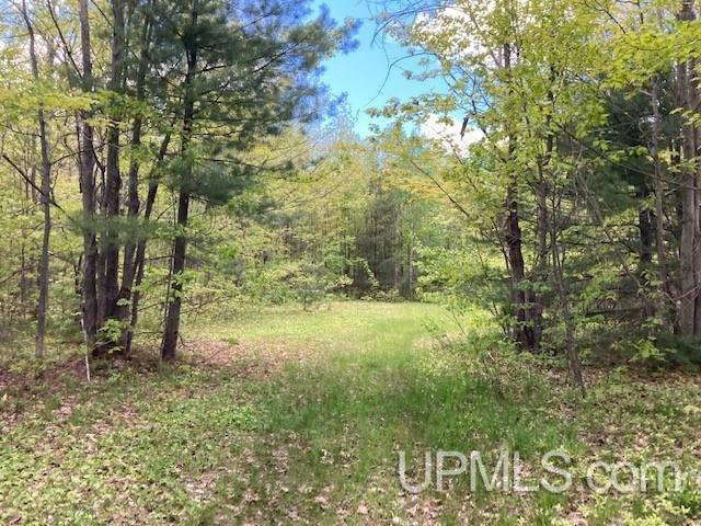 2 Boundary Road Chassell, MI 49916 - Photo 68 of 77
