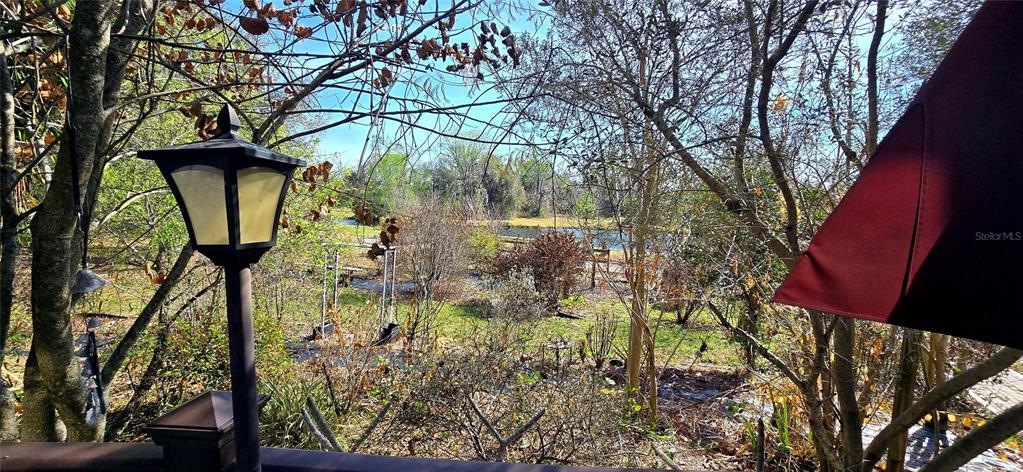 14820 County Road 48 Astatula, FL 34705 - Photo 3 of 12 a backyard of a house with lots of green space
