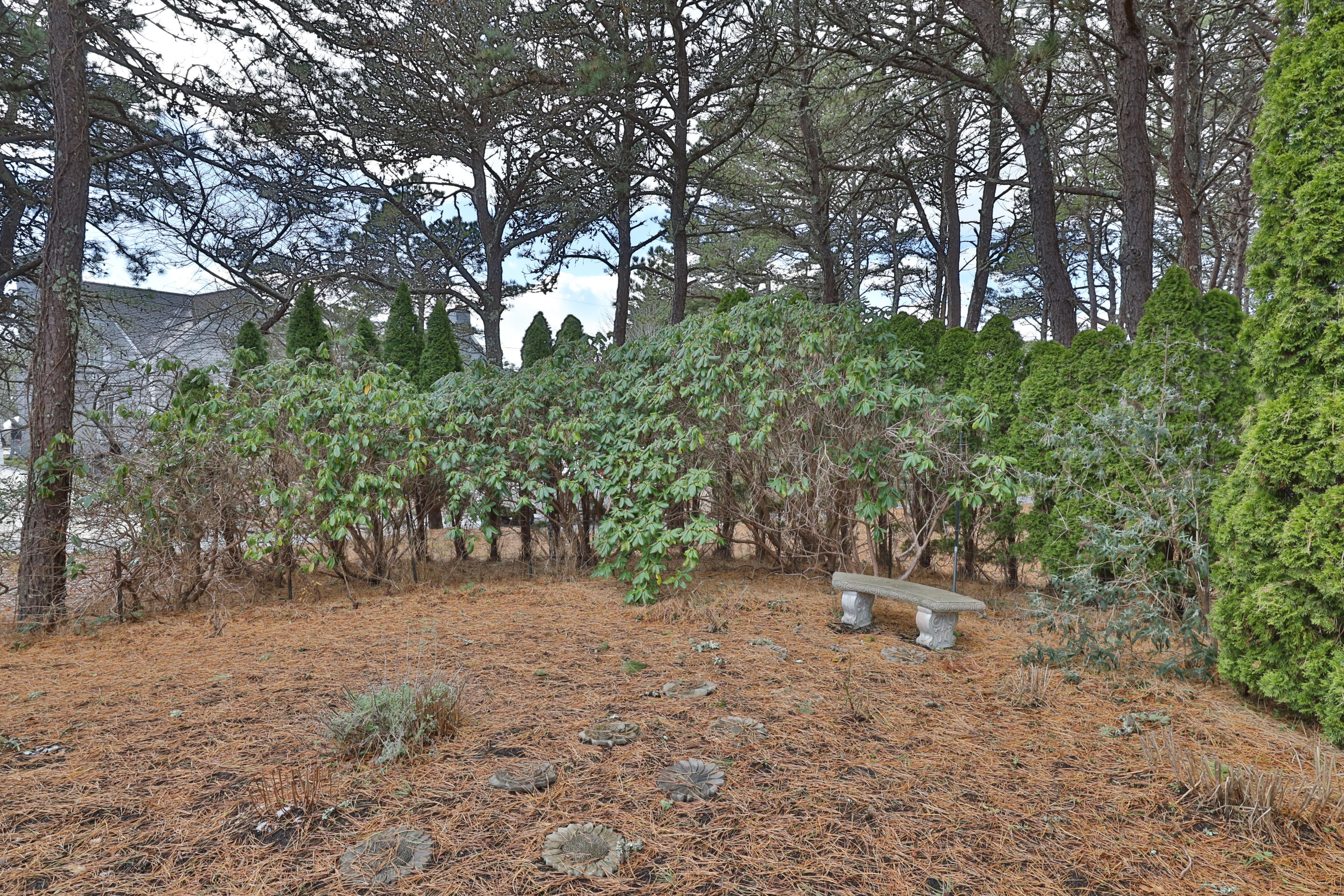 50 Nons Road Harwich Port, MA 02646 - Photo 60 of 83 50NonLR-56