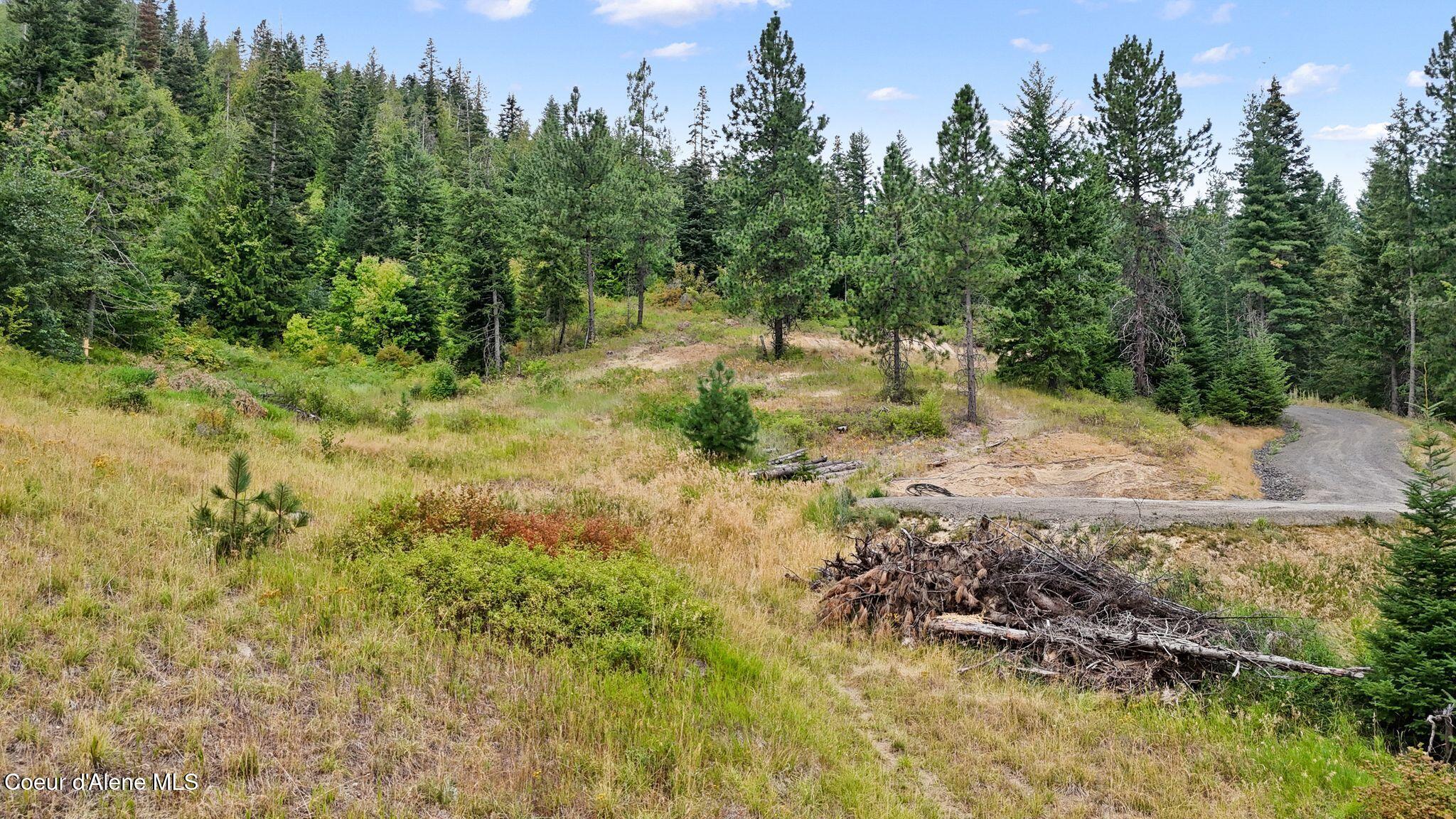Nna West Biggs Road Rathdrum, ID 83858 - Photo 12 of 29 8