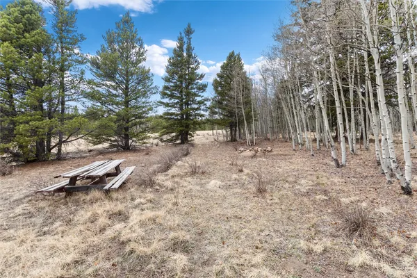 a view of outdoor space with trees