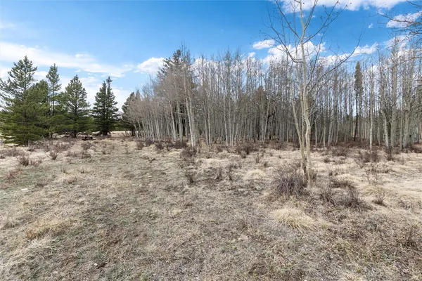 a view of snow on a road