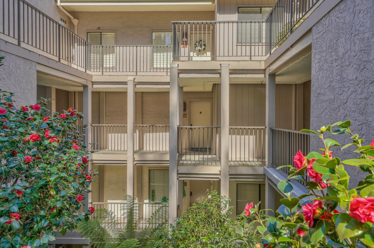 18 Shepherds Knoll Road Monterey, CA 93940 - Photo 1 of 28 a flower plants in front of a building