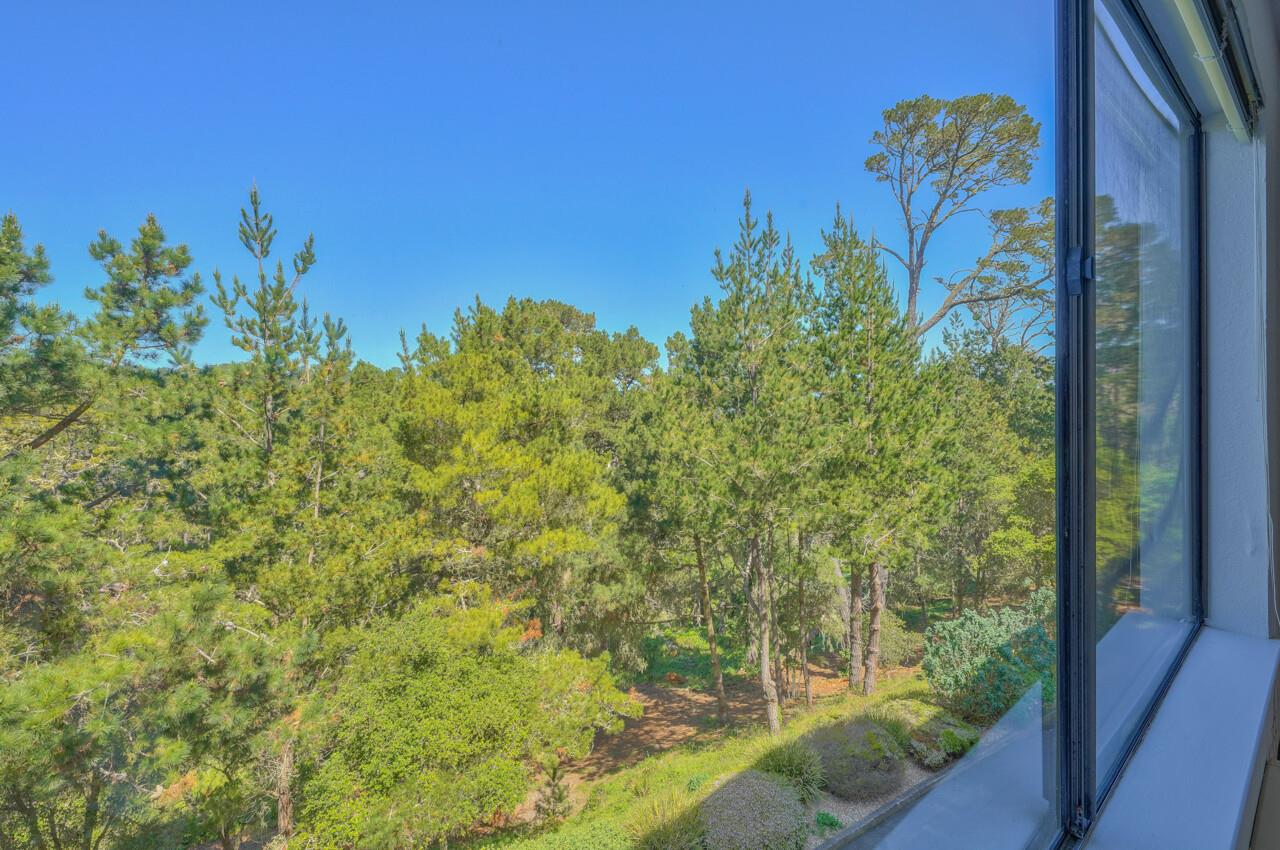 18 Shepherds Knoll Road Monterey, CA 93940 - Photo 17 of 28 a view of a yard