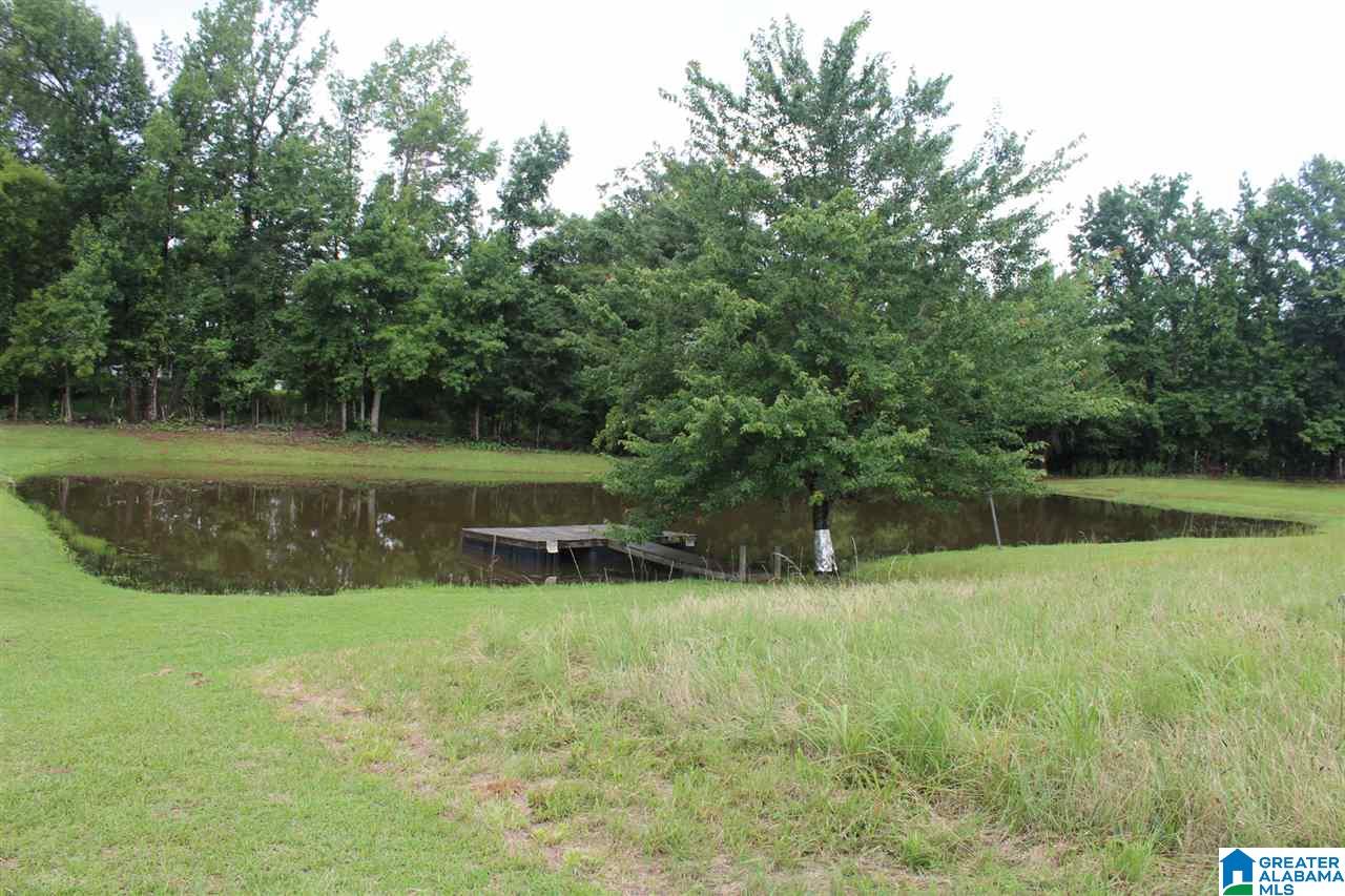 1670 Dutton Hill Road Oakman, AL 35579 - Photo 36 of 44