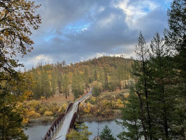 261-271 Salt Flat Road Lewiston, CA 96052 - Photo 45 of 51 IMG_8409