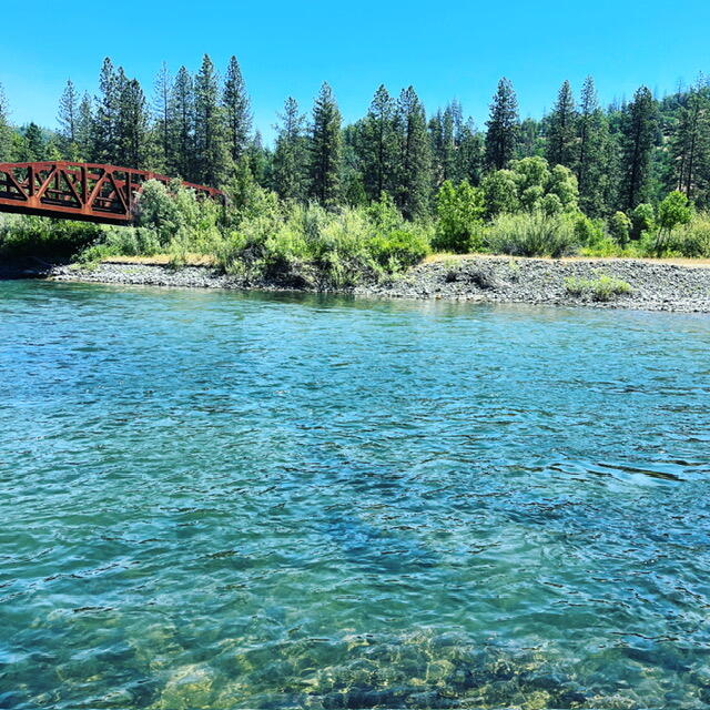 261-271 Salt Flat Road Lewiston, CA 96052 - Photo 46 of 51 IMG_8407