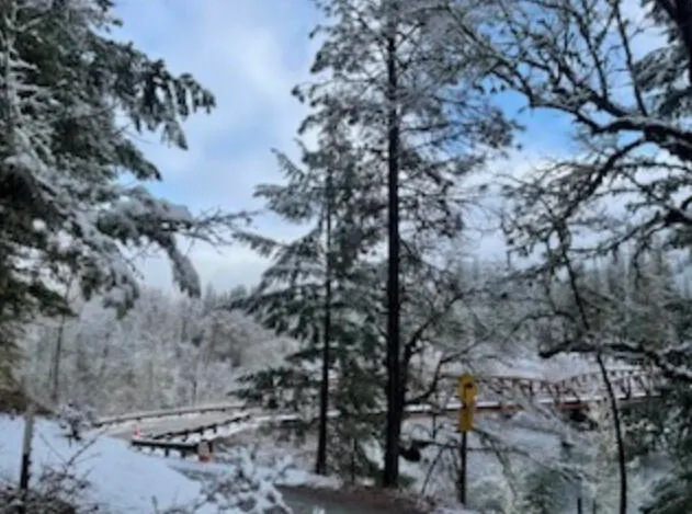 $375,000 | 261-271 Salt Flat Road, Lewiston, CA 96052