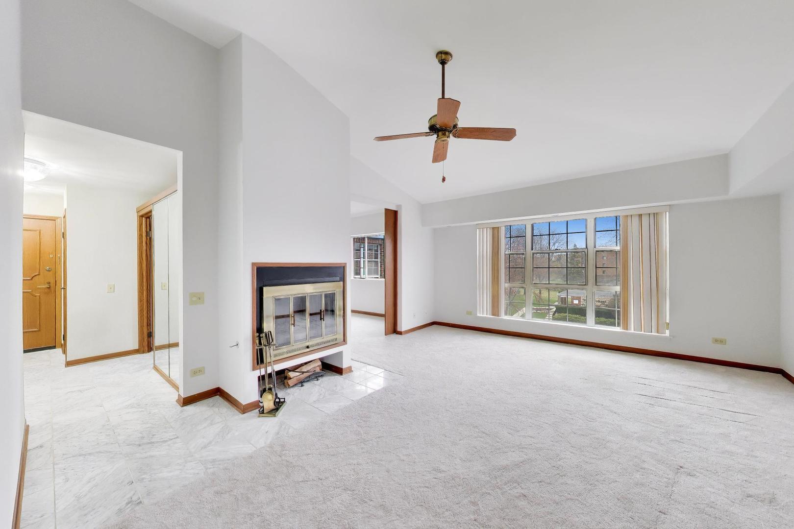 540 Biesterfield Road, Unit 301 Elk Grove Village, IL 60007 - Photo 6 of 12