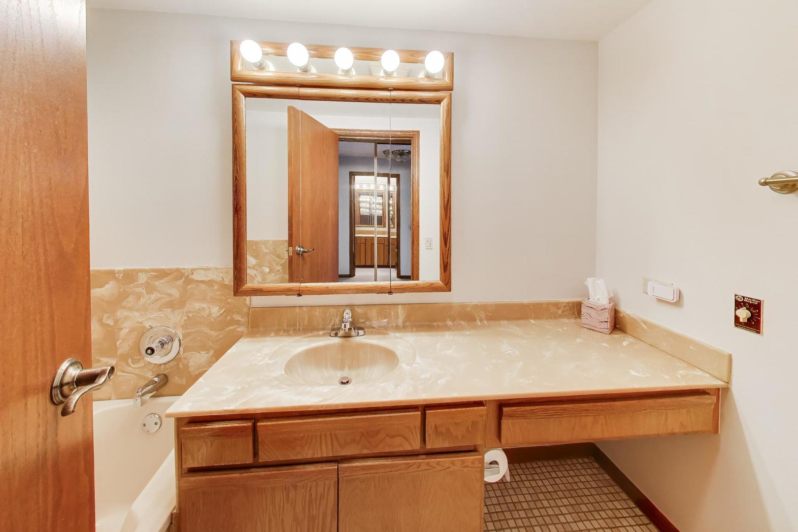 540 Biesterfield Road, Unit 301 Elk Grove Village, IL 60007 - Photo 8 of 12