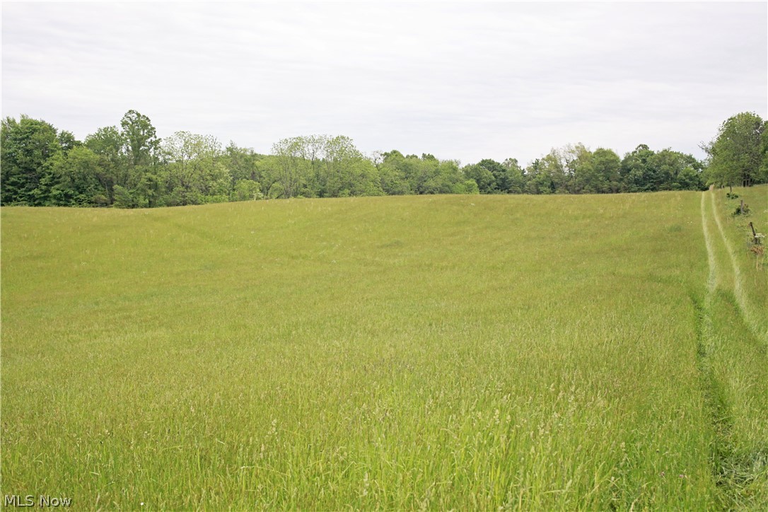 Sandy Ridge Road Southeast Tippecanoe, OH 44699 - Photo 7 of 27 Gallery Image 7