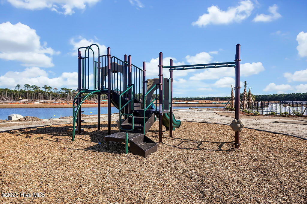 5346 Areca Road, Unit LOT 411 Castle Hayne, NC 28429 - Photo 39 of 43 SidburyStationAmenities-24