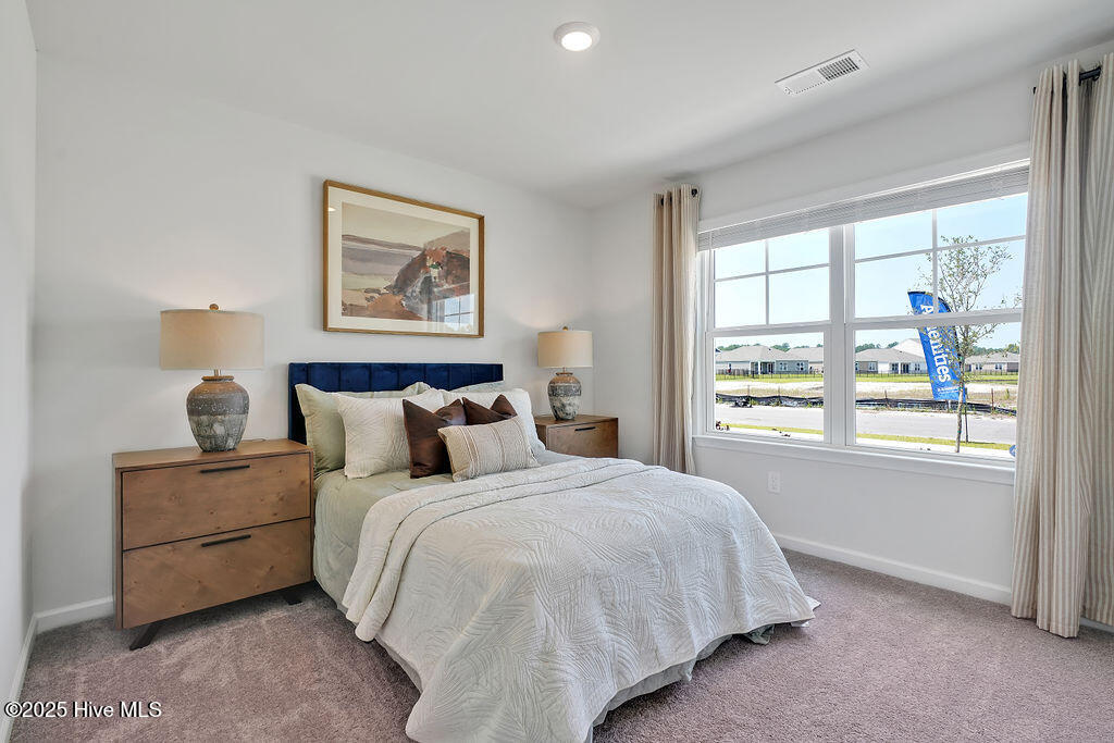 5346 Areca Road, Unit LOT 411 Castle Hayne, NC 28429 - Photo 3 of 43 The photos you see here are for illustration purposes only, interior and exterior features, options, colors and selections will vary from the homes as built.