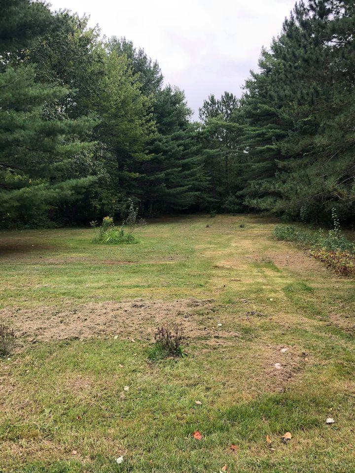 117 Day Road Lincoln, ME 04457 - Photo 23 of 23 119124568_1210814792612593_6051495257350