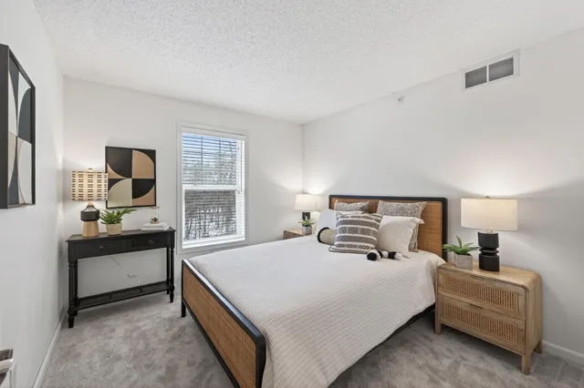 $325,000 | 111309 Village Road, Chaska, MN 55318