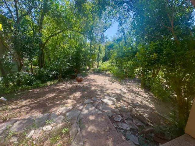 a view of a forest with trees