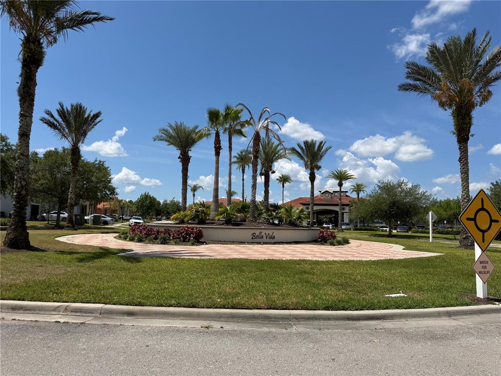 4573 Ada Lane Kissimmee, FL 34746 - Photo 37 of 37 front view of a house with a yard and palm trees