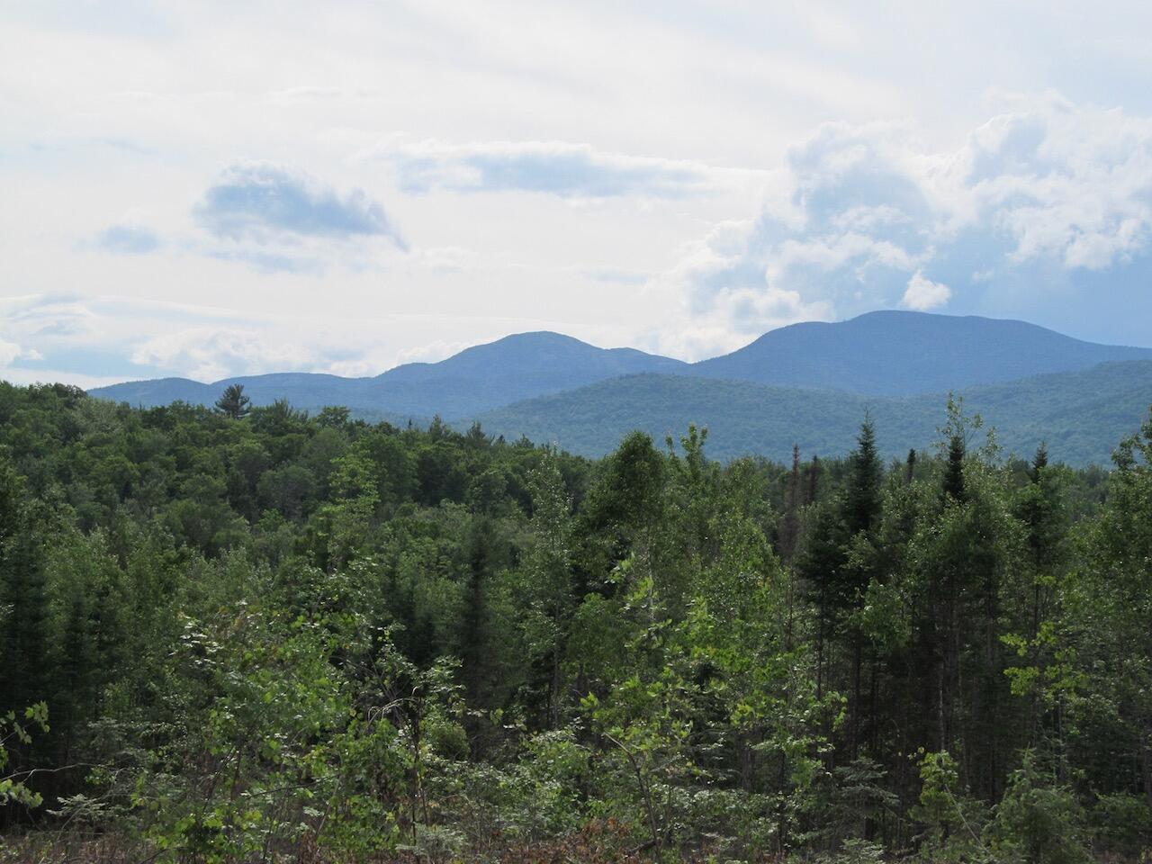 5.7 Brown Neighborhood Road Weld, ME 04285 - Photo 25 of 29 IMG_0327