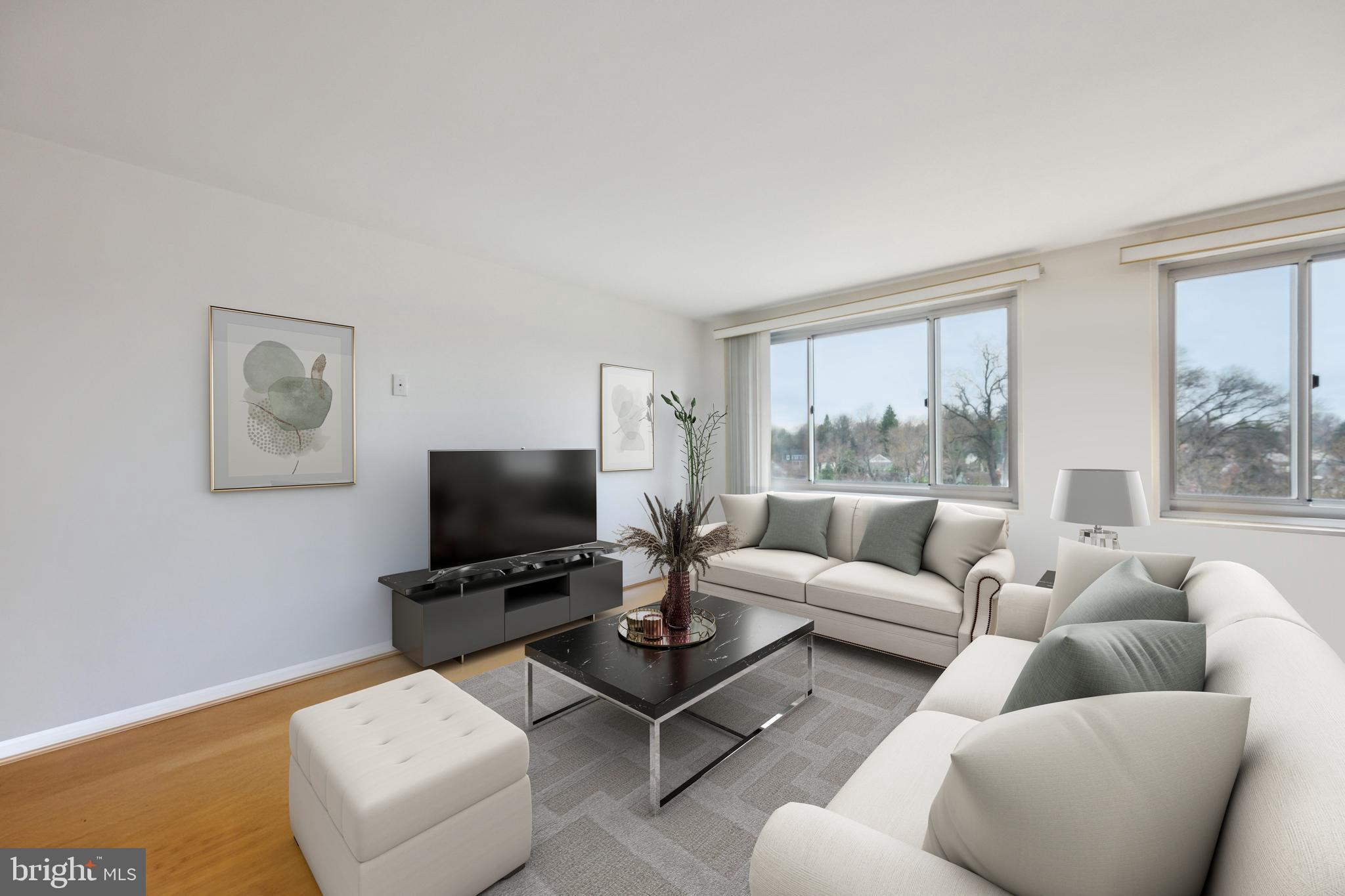 1900 Lyttonsville Road, Unit 1017 Silver Spring, MD 20910 - Photo 2 of 17 Living Room- Virtually Staged