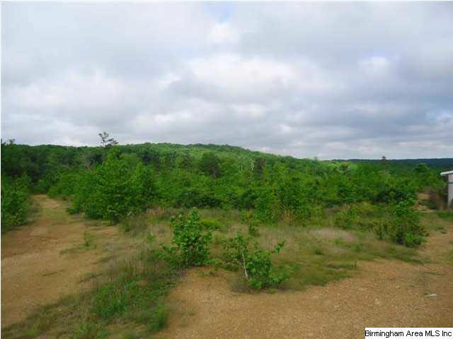 Mayo Road, Unit 96 Altoona, AL 35952 - Photo 22 of 23