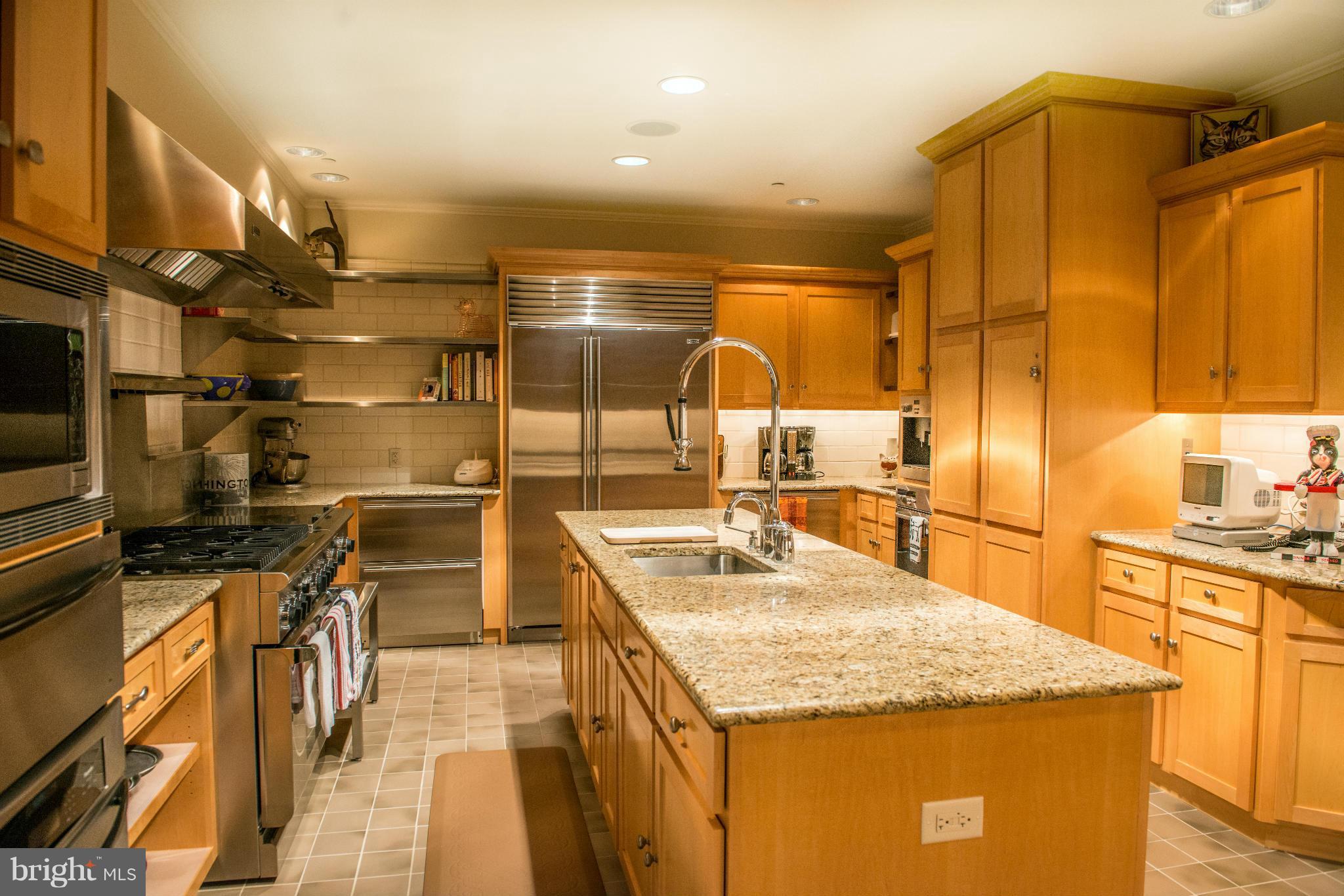 2550 Landmark School Road The Plains, VA 20198 - Photo 18 of 30 Professional Caterer's Kitchen Lower Level
