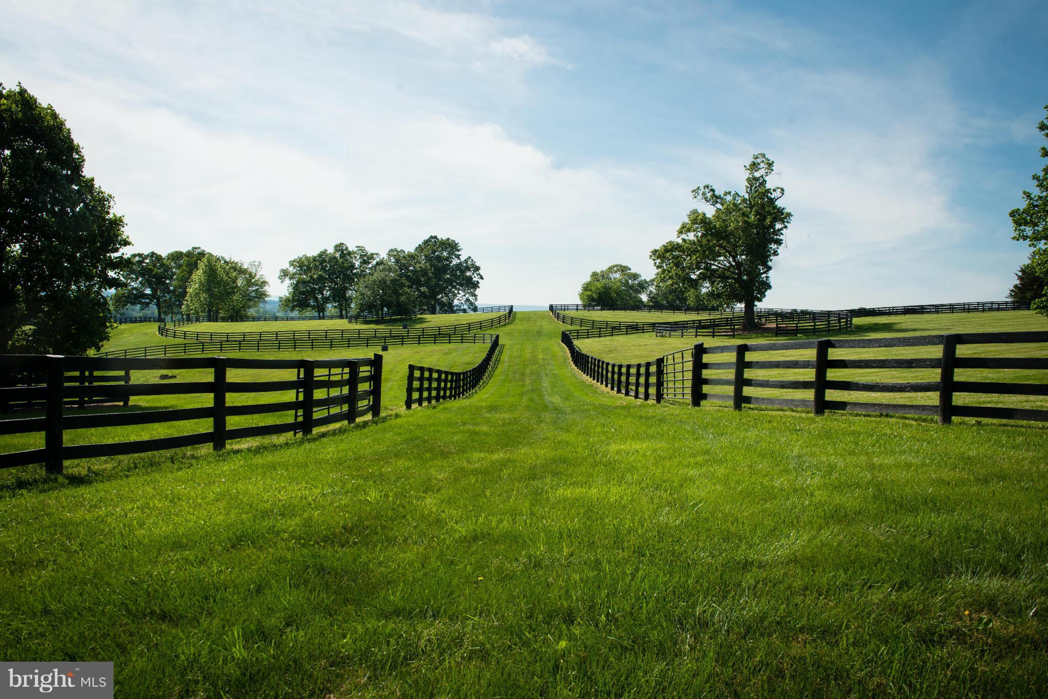 2550 Landmark School Road The Plains, VA 20198 - Photo 23 of 30 8 paddocks