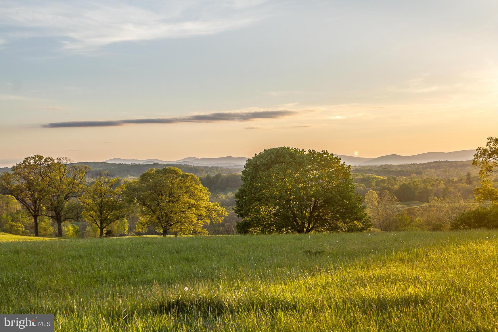 2550 Landmark School Road The Plains, VA 20198 - Photo 4 of 30 View
