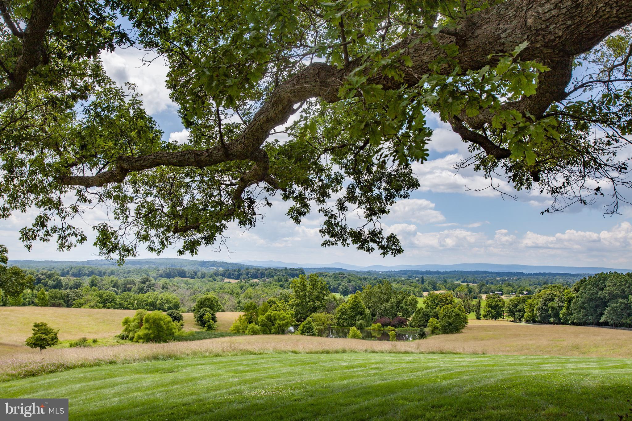 2550 Landmark School Road The Plains, VA 20198 - Photo 7 of 30 View