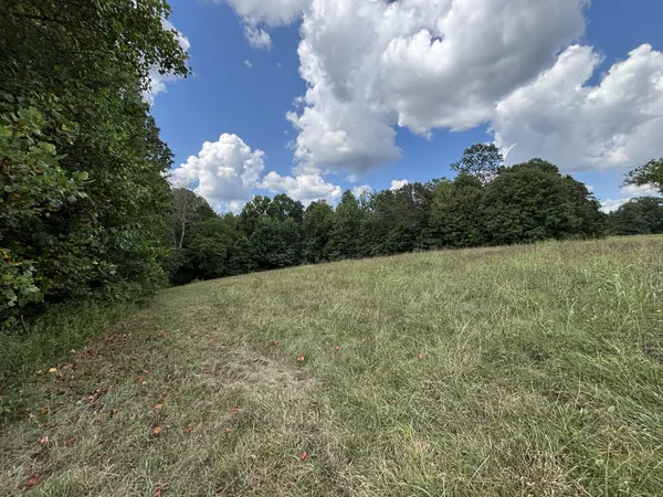 $67,500 | 0 Highway 7, Lyles, TN 37098