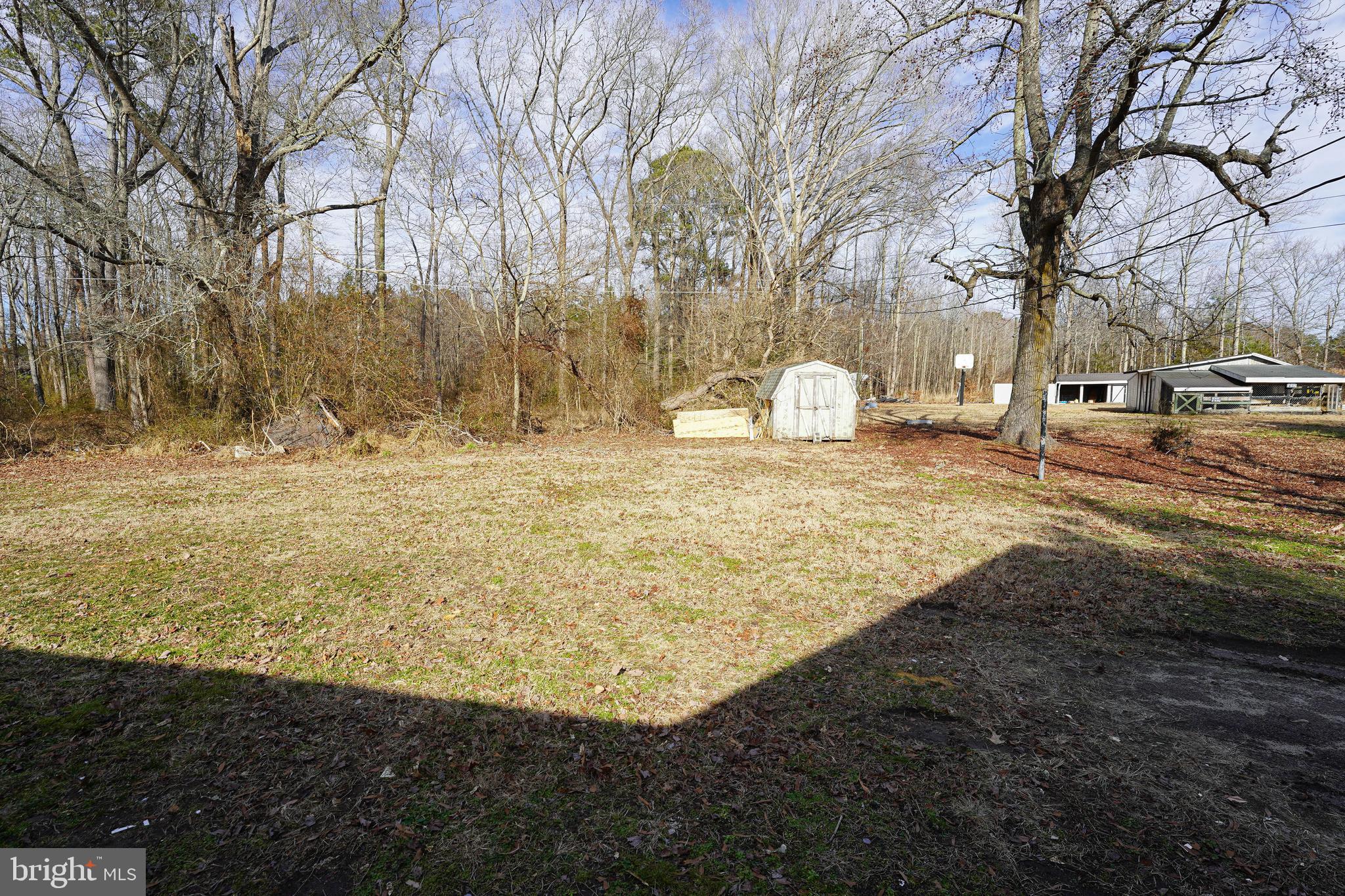 31872 Flower Hill Church Road Eden, MD 21822 - Photo 27 of 28 a view of a yard with a house