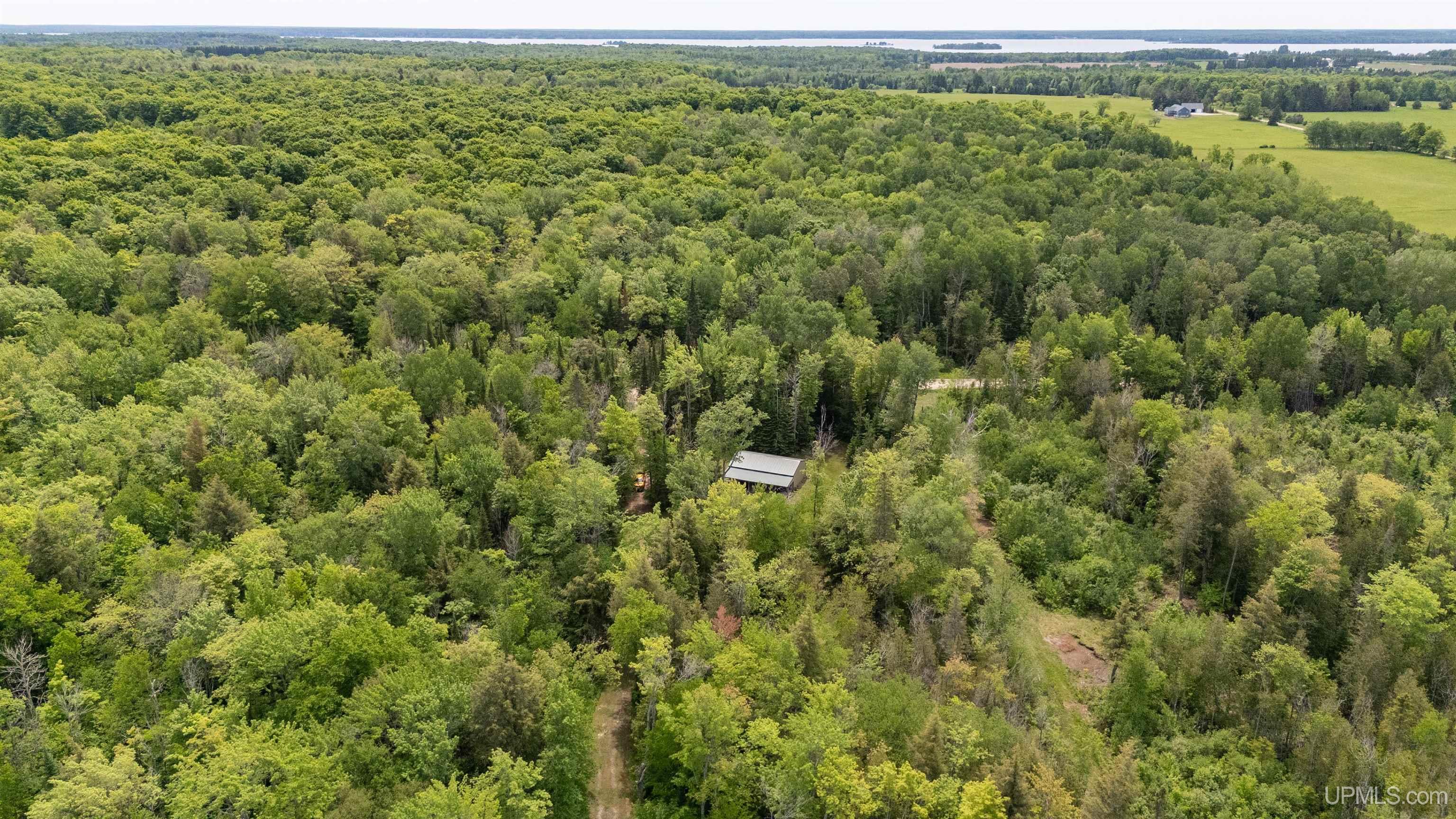 27714 Kline Road McMillan, MI 49853 - Photo 11 of 17