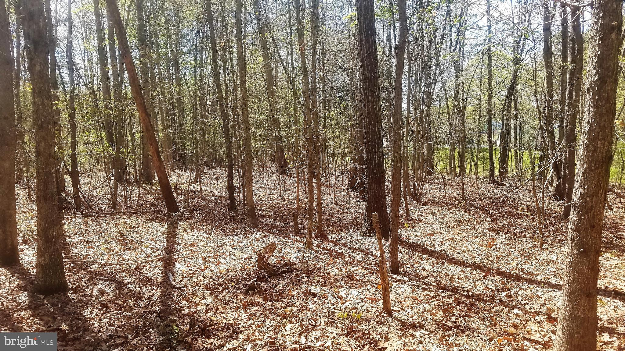 0 Russel Road Locust Grove, VA 22508 - Photo 2 of 3 Gallery Image 2