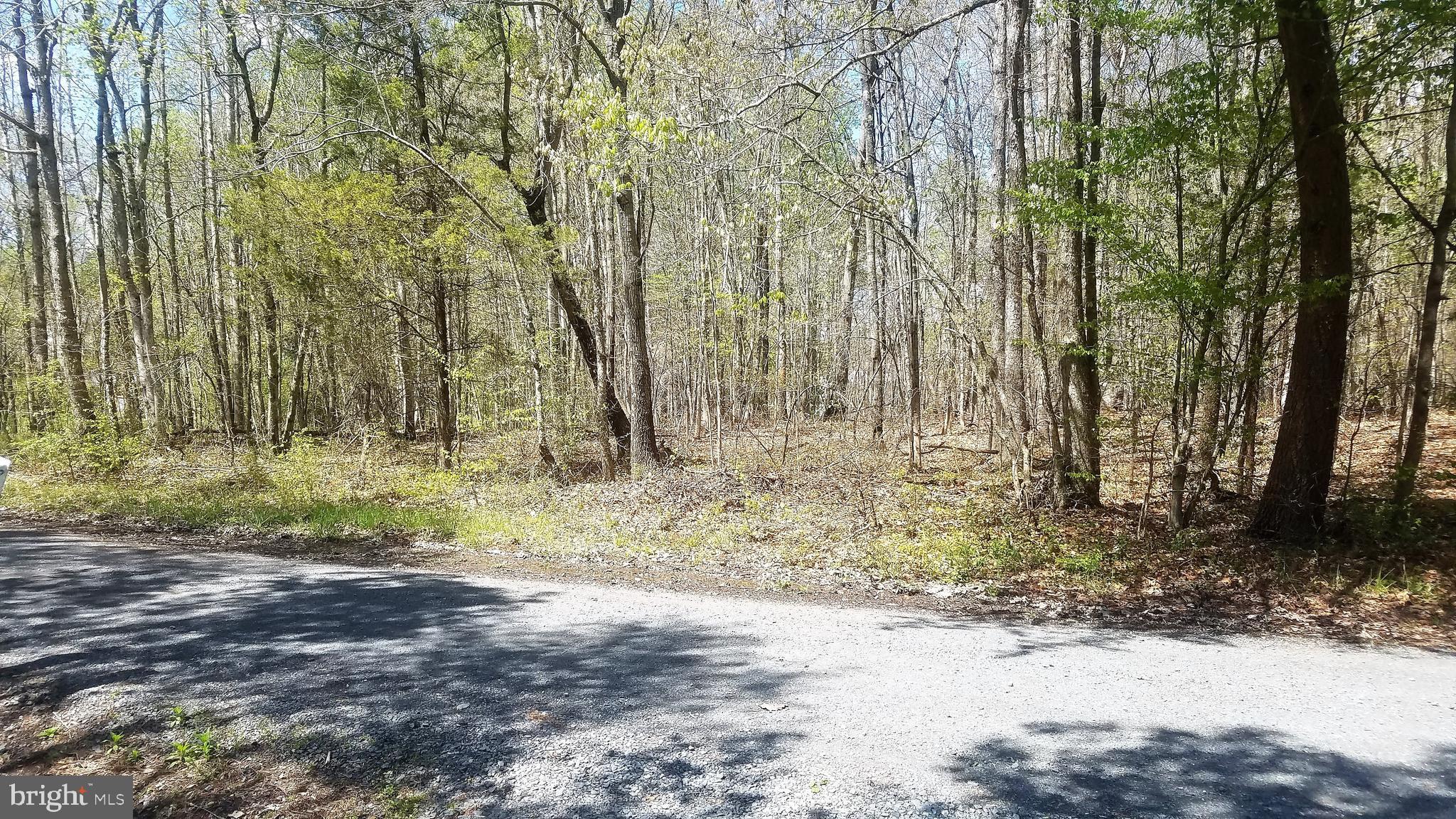 0 Russel Road Locust Grove, VA 22508 - Photo 3 of 3 Gallery Image 3