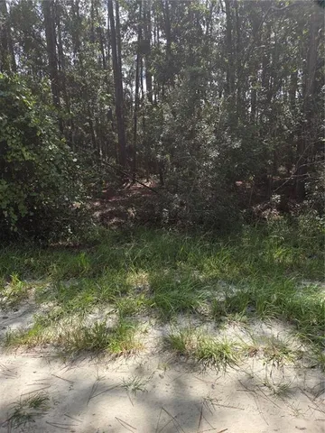 a view of a yard with a tree