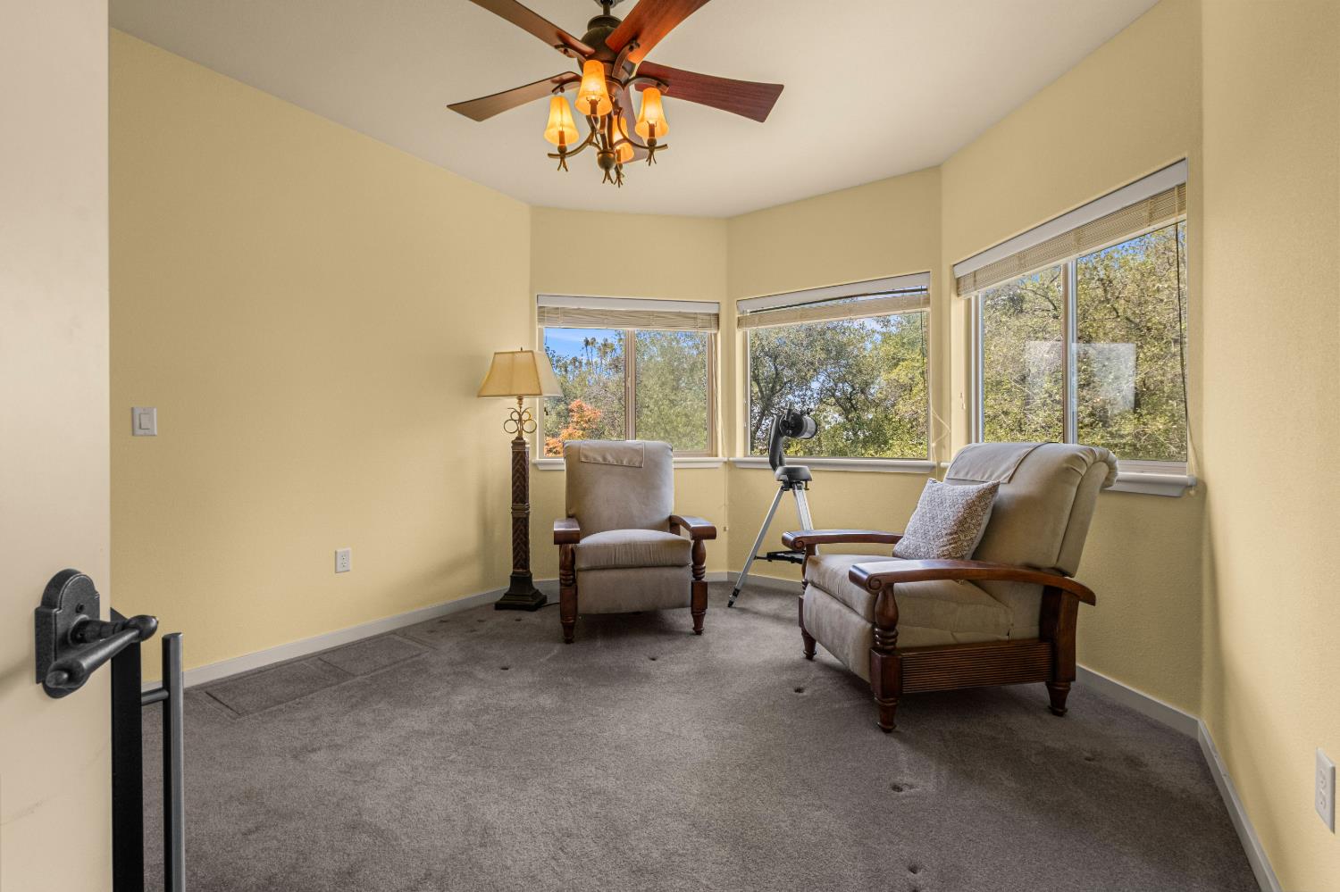 2211 Terrace View Court Cool, CA 95614 - Photo 49 of 99
