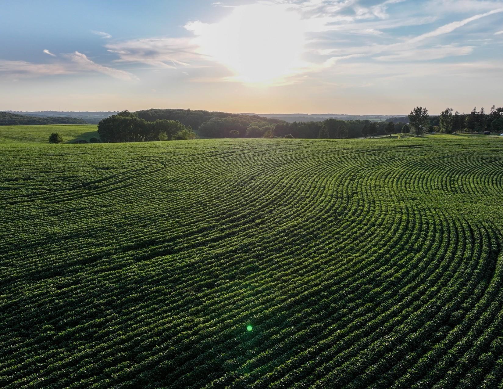 40.22-acres Stump Ridge Road Viroqua, WI 54665 - Photo 10 of 12 Gallery Image 10
